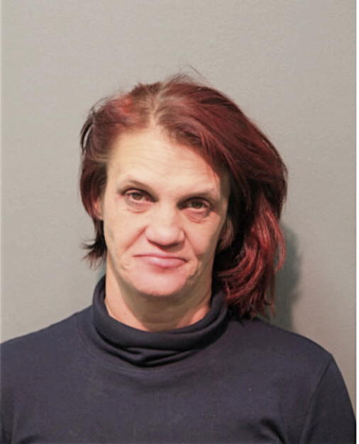 JULIE M KING, Cook County, Illinois