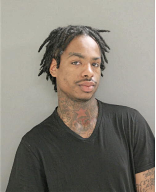 ALVIN E LASHLEY, Cook County, Illinois