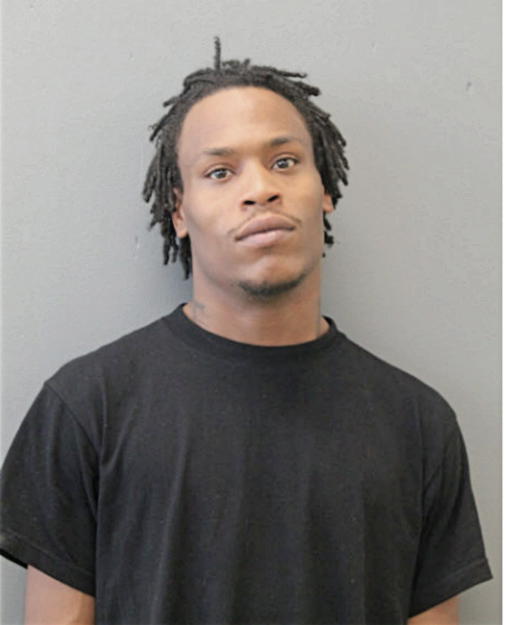 KEVIN M LAMB, Cook County, Illinois