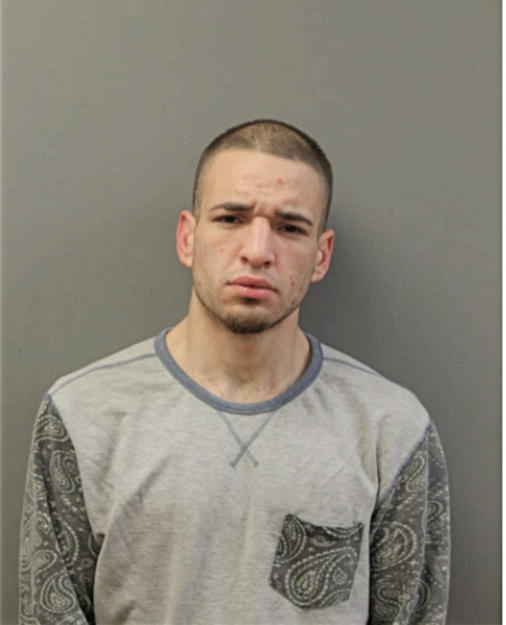 TONY MEDINA, Cook County, Illinois