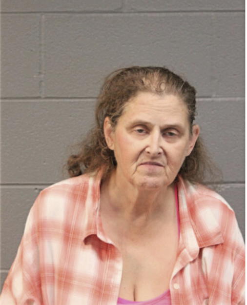 LINDA R MEISTER, Cook County, Illinois