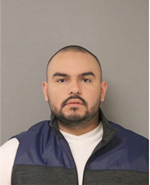 ABRAHAM IMMANUEL POZO, Cook County, Illinois