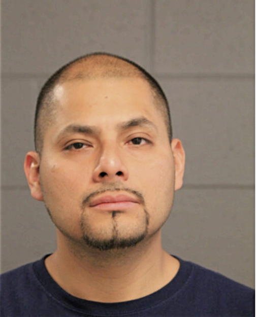 ADAM SALINAS, Cook County, Illinois