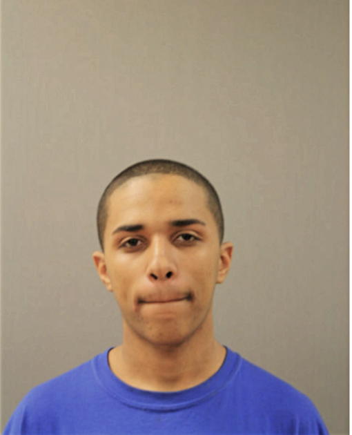 NELSON L TORRES, Cook County, Illinois