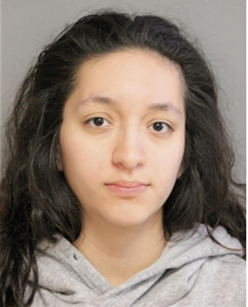 ANDREA VIGUERAS, Cook County, Illinois