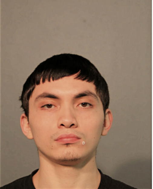 LAUTARO U VILLAGRAN, Cook County, Illinois
