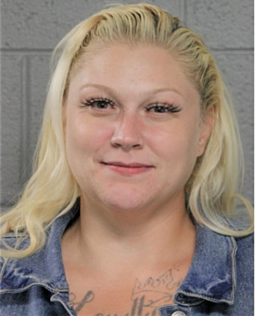 JESSICA L ANDERSON, Cook County, Illinois