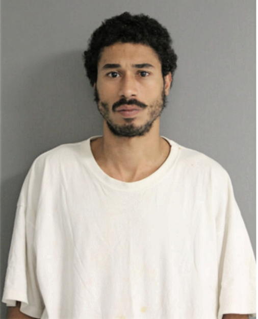 TYRONE S ANDERSON, Cook County, Illinois