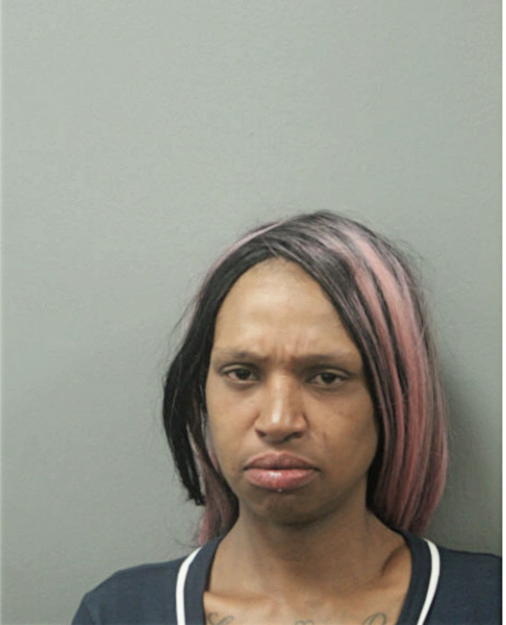 ERICKA L BAKER, Cook County, Illinois