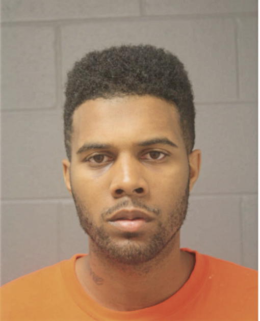 RICKY D BROWN, Cook County, Illinois