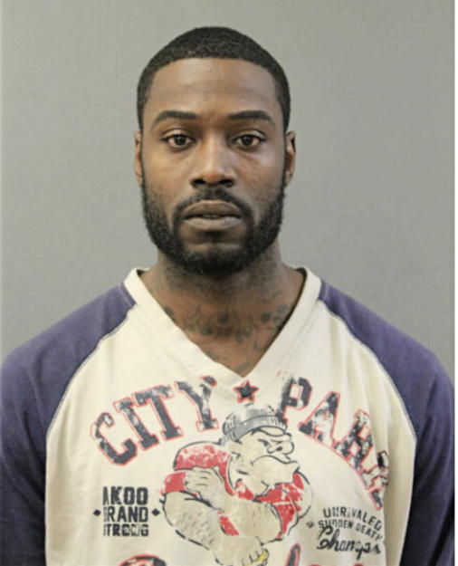 DERRICK L BURNS, Cook County, Illinois