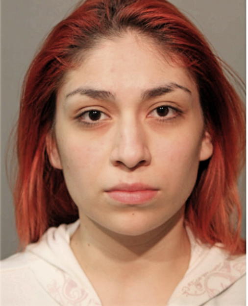 MICHELLE S CASTELLAMOS, Cook County, Illinois