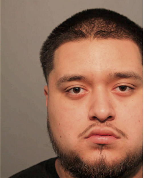 ARMANDO P CASTILLO, Cook County, Illinois