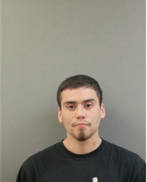 JONAS D CASTILLO, Cook County, Illinois