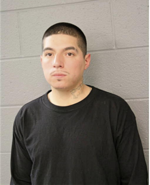 OSCAR CERVANTES, Cook County, Illinois