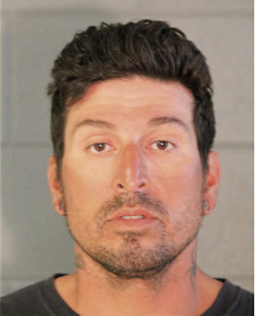 MICHAEL W DANKERT, Cook County, Illinois