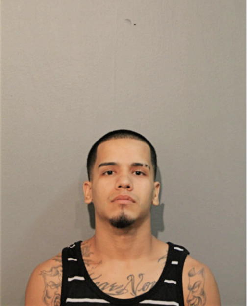 RICARDO DENAVA, Cook County, Illinois