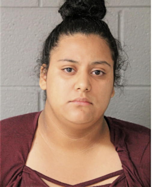 BRIANNA GUZMAN, Cook County, Illinois