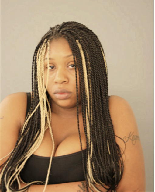 ANDREA L HOLMAN, Cook County, Illinois