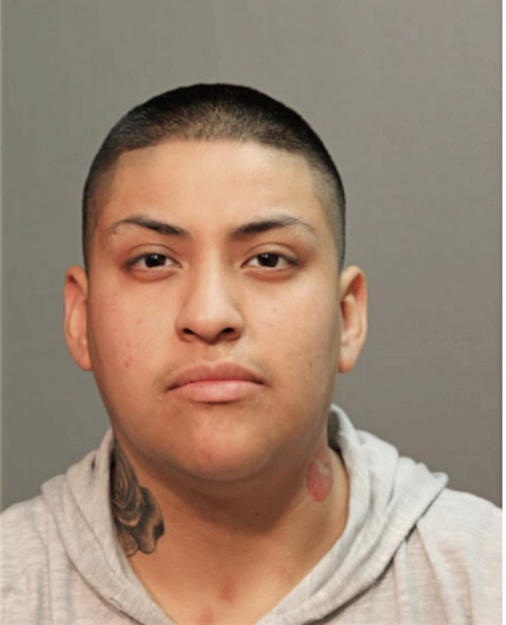 VIANNEY A JUAREZ-LEON, Cook County, Illinois