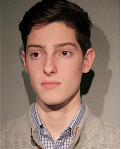 BRANDON S LEVY, Cook County, Illinois