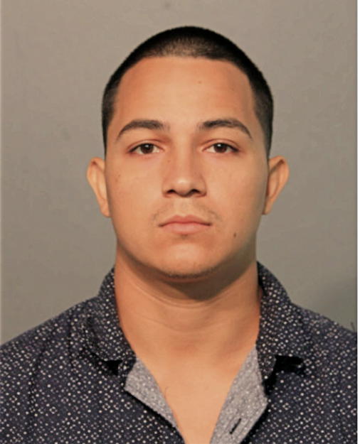 ADONIS LOPEZ, Cook County, Illinois