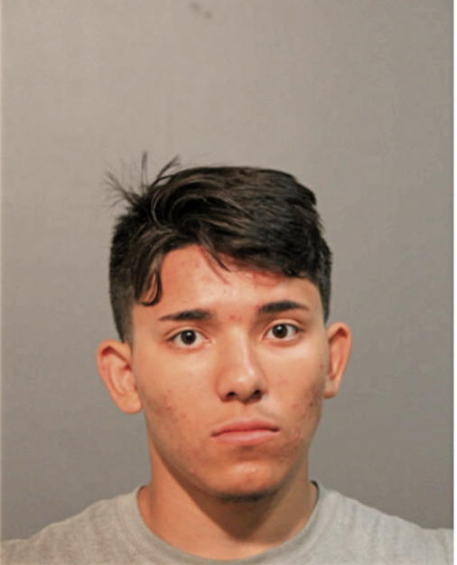 LUKE A M FLORES, Cook County, Illinois