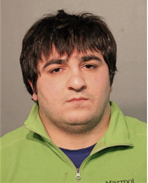 RAMIL MUSAEV, Cook County, Illinois