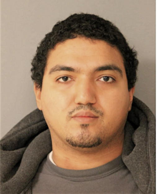 MIGUEL NAVA, Cook County, Illinois
