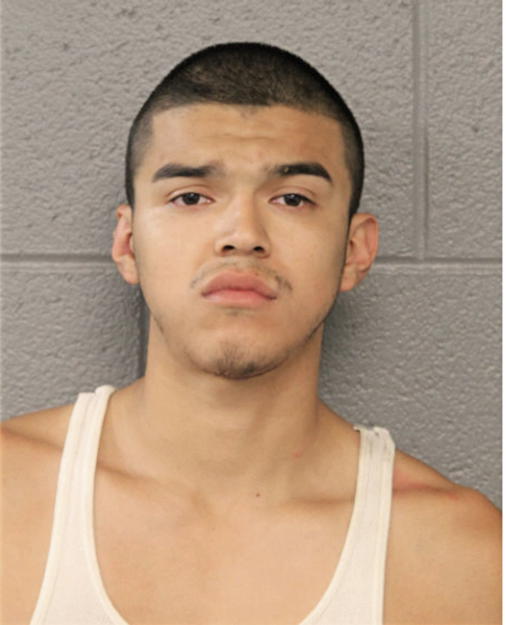 ALVARO N PADILLA, Cook County, Illinois