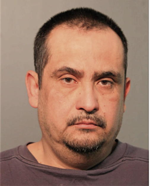 BACNER R PENA, Cook County, Illinois