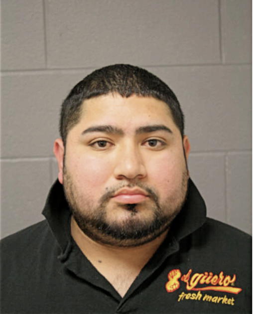JAVIER PITA, Cook County, Illinois