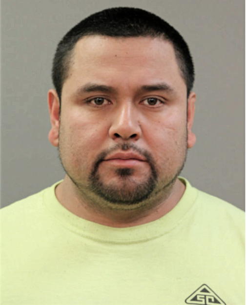 SERGIO SANCHEZ, Cook County, Illinois