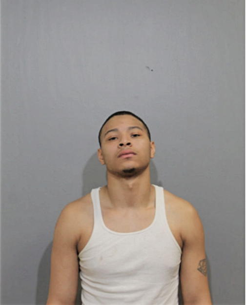 TYLER D SINGLETARY, Cook County, Illinois