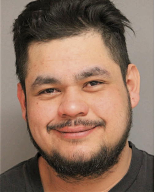 RANGEL TRINIDAD, Cook County, Illinois