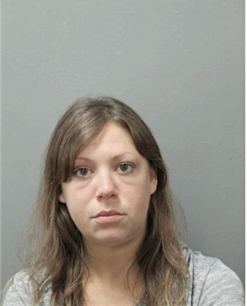 NICOLE E WELTER, Cook County, Illinois