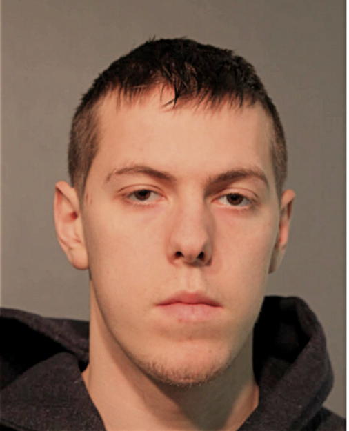 NATHAN C WETTIG, Cook County, Illinois