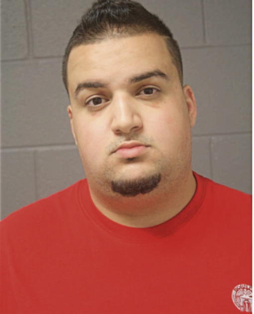 ALAA J ABDALLAH, Cook County, Illinois