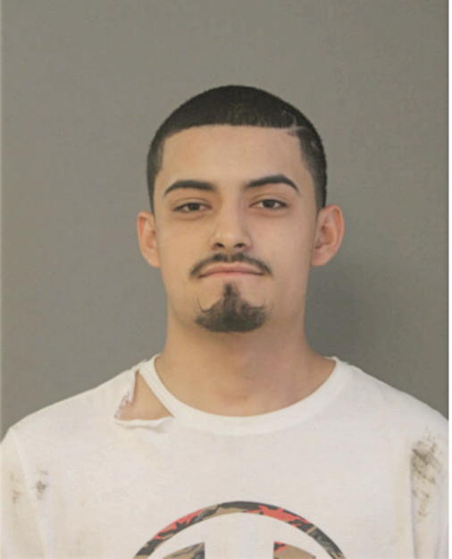 MICHAEL A ALARCON, Cook County, Illinois