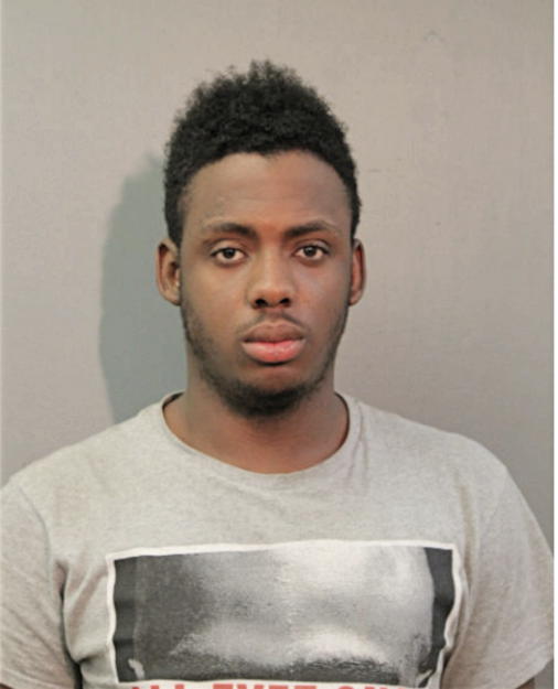 RAYVON ALLISON, Cook County, Illinois