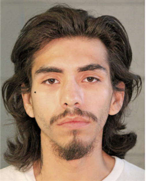 LUDOVICO ALMAZAN, Cook County, Illinois