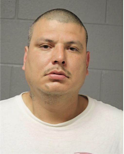 JESSE R ANAYA, Cook County, Illinois