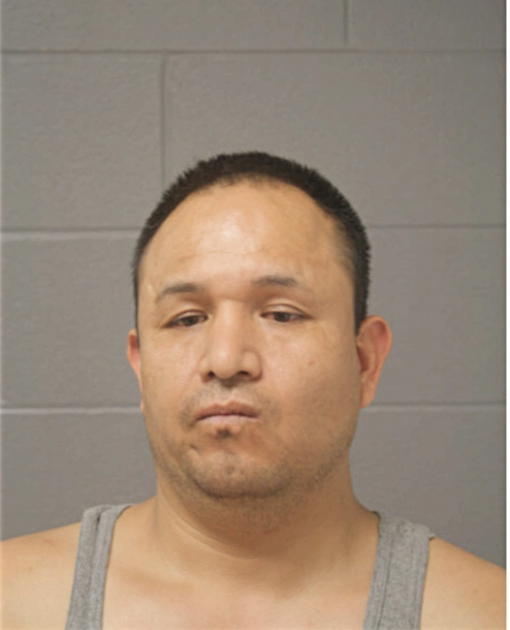 CARLOS ANDRADE, Cook County, Illinois
