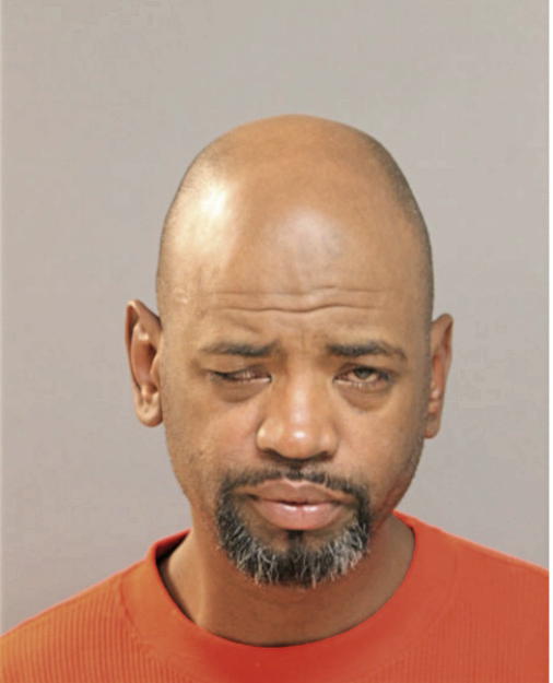 STEVEN T BROWN, Cook County, Illinois