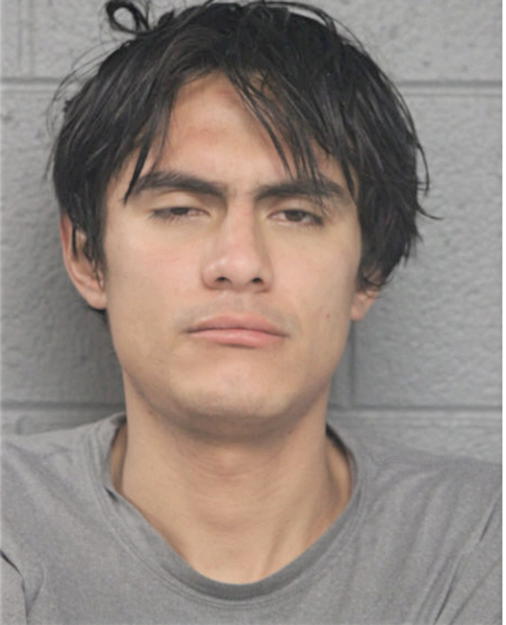 JAVIER CHAVEZ, Cook County, Illinois