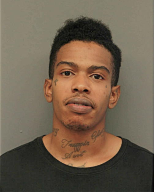 STEPHEN L CUNNINGHAM, Cook County, Illinois