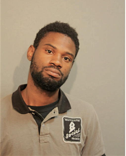 MATTHEW L FOSTER, Cook County, Illinois