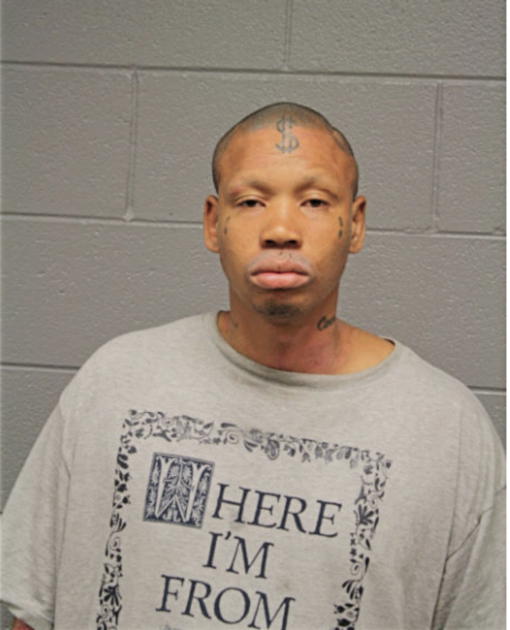 MICHAEL A HALL, Cook County, Illinois