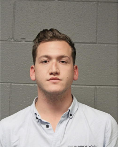 ALEXANDER HANDY, Cook County, Illinois