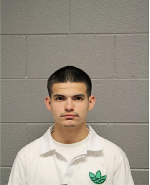 JOSEPH HEINS, Cook County, Illinois